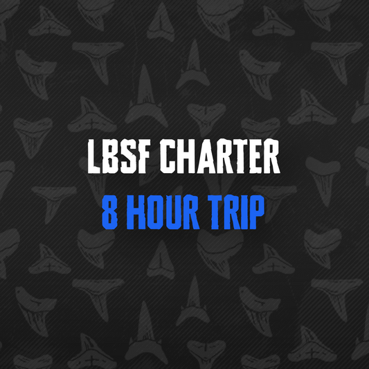 8 Hour Trip