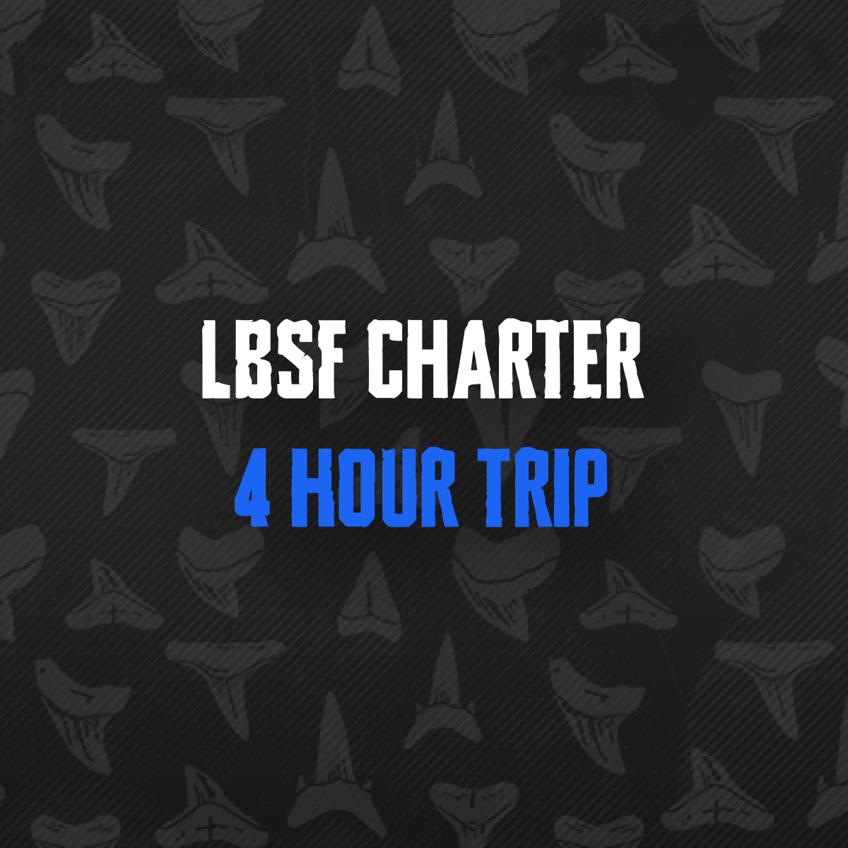 4 Hour Trip