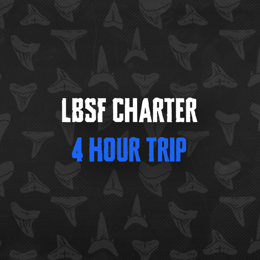 4 Hour Trip