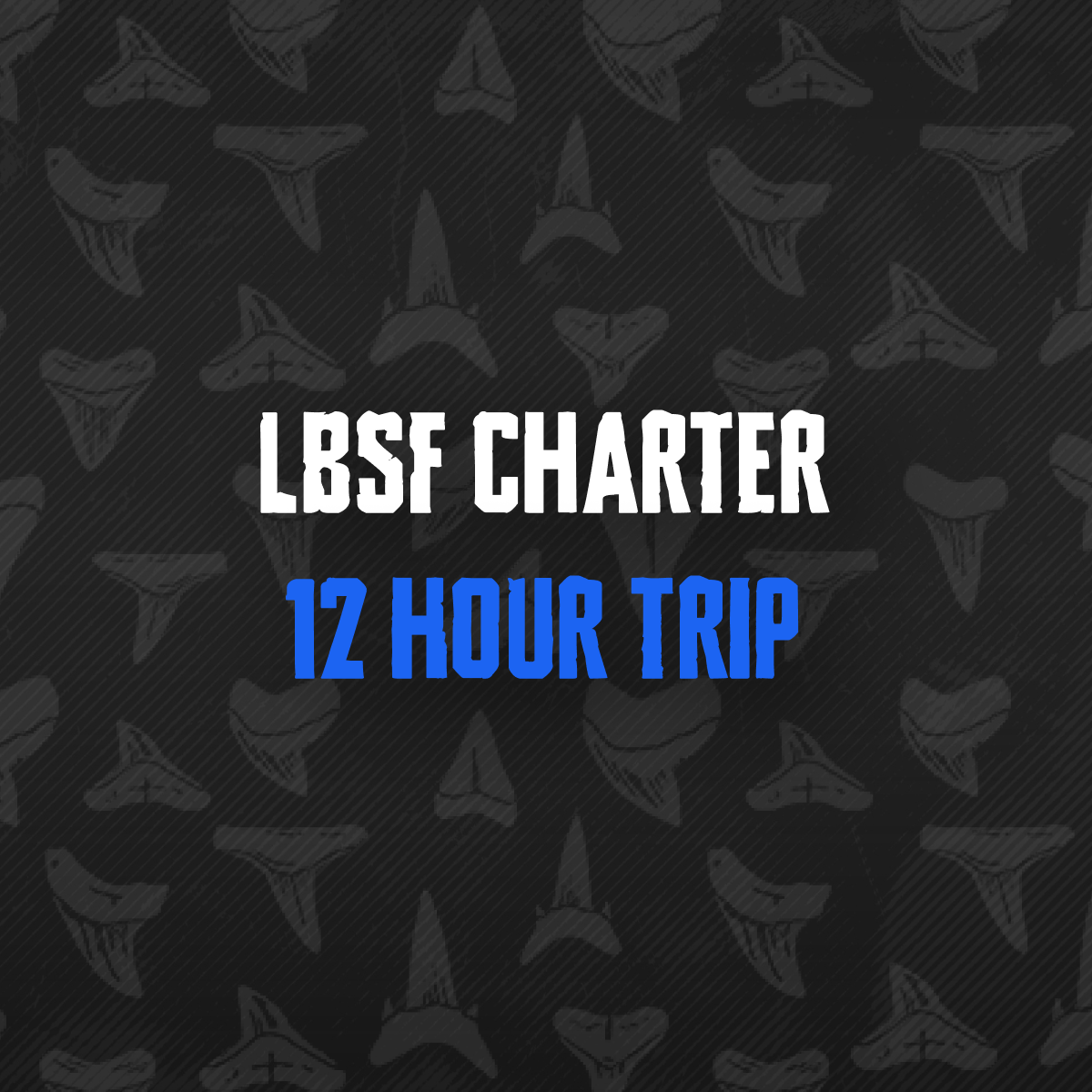 12 Hour Trip